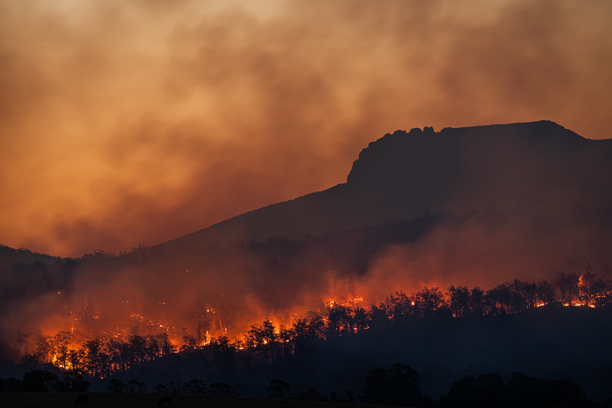 A bushfire burning in the Australian landscape.