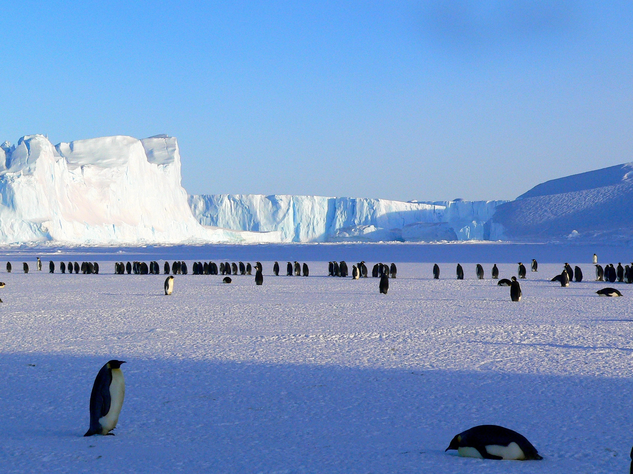 A glacial view of Antarctica.
