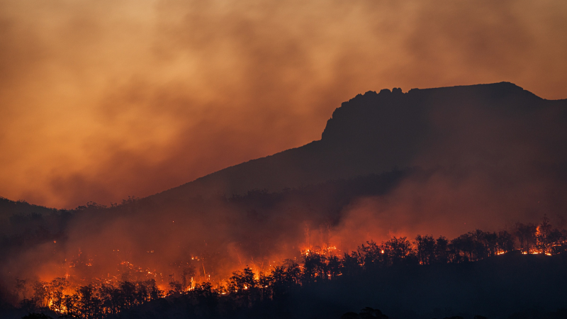 A bushfire burning in the Australian landscape.