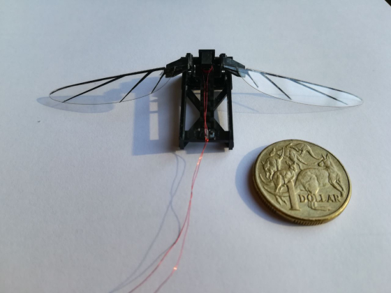 A prototype of a mechanical insect, next to a one dollar coin demonstrating that the body is smaller than the coin. 