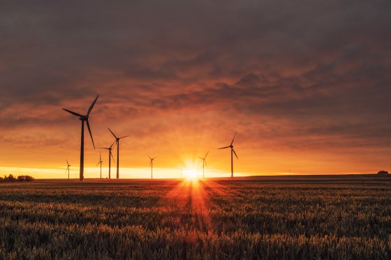 Photo of a wind farm at sunrise
