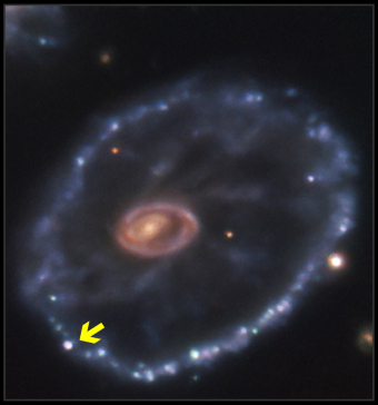 SN2021afdx highlighted on bottom left corner of Cartwheel Galaxy. 