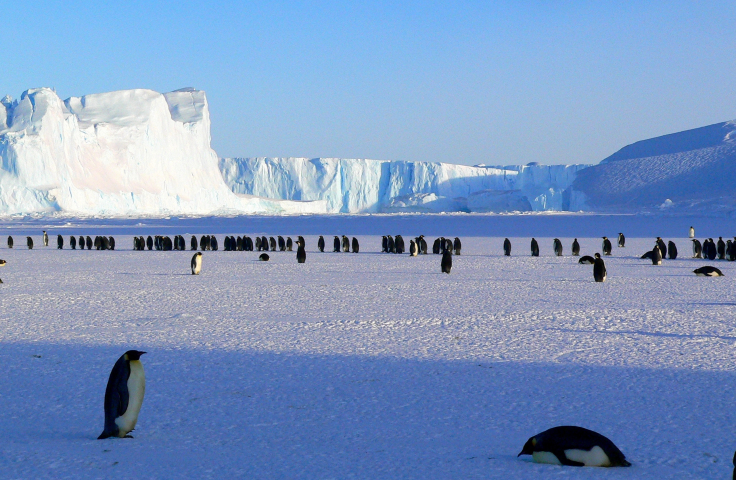 A glacial view of Antarctica.