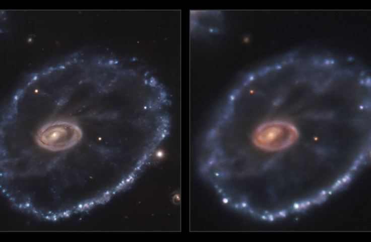 The Cartwheel Galaxy pictured before and during the SN2021afdx supernova. 